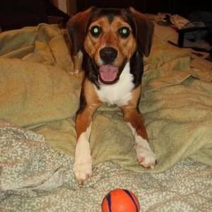 Meet your Posher, Alicia